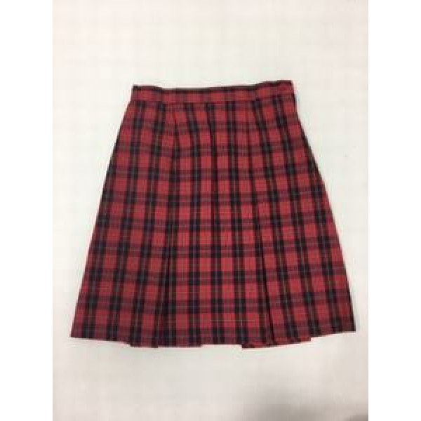 Skirt plaid Girls Our Saviours Catholic Sc. Schools
