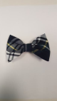 Small Barrette 35