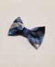 Small Barrette 76