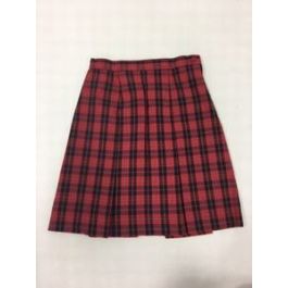 Skirt plaid