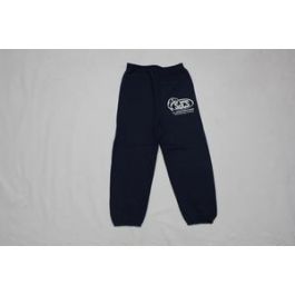 lioness academy sweatpants